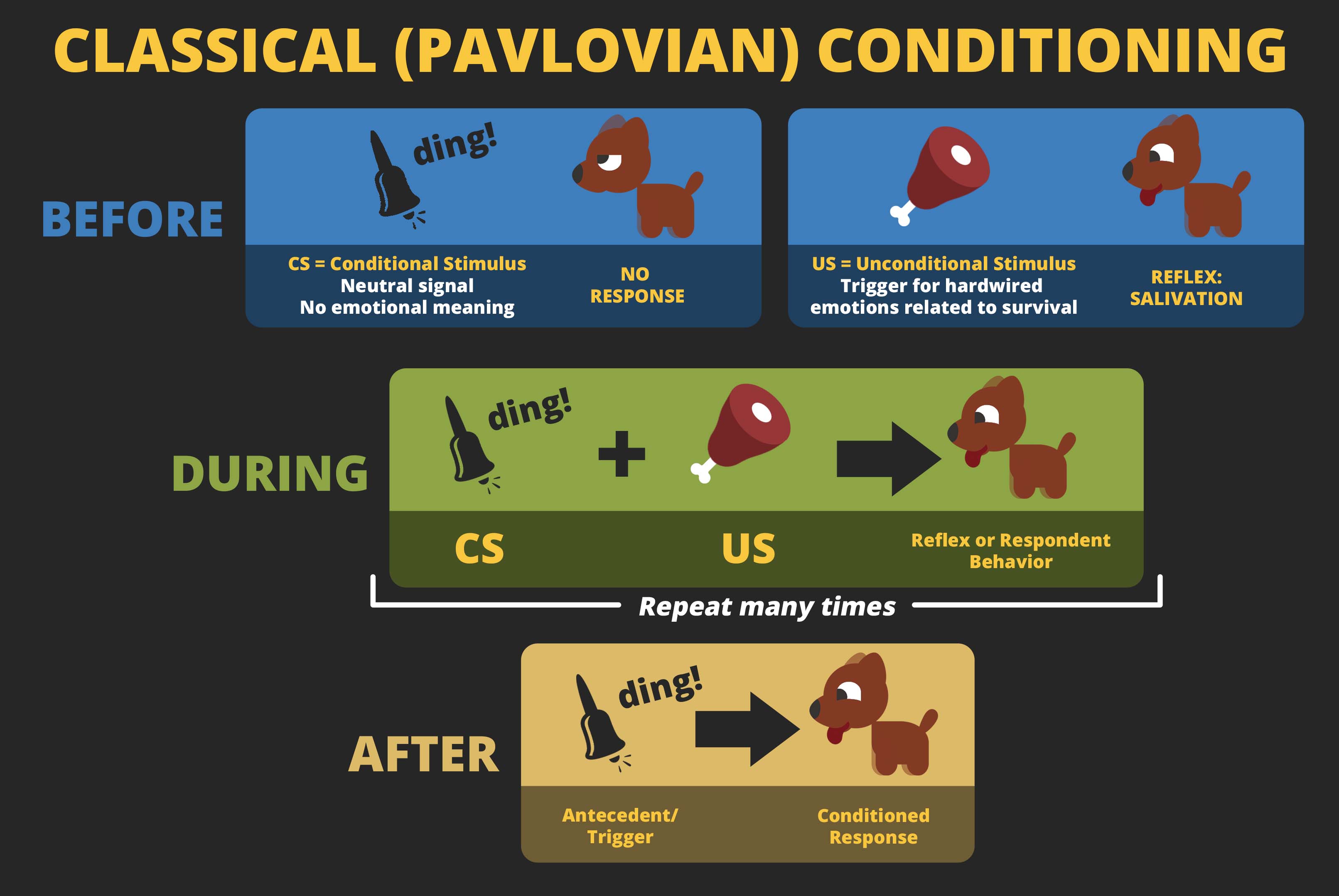 classical conditioning examples