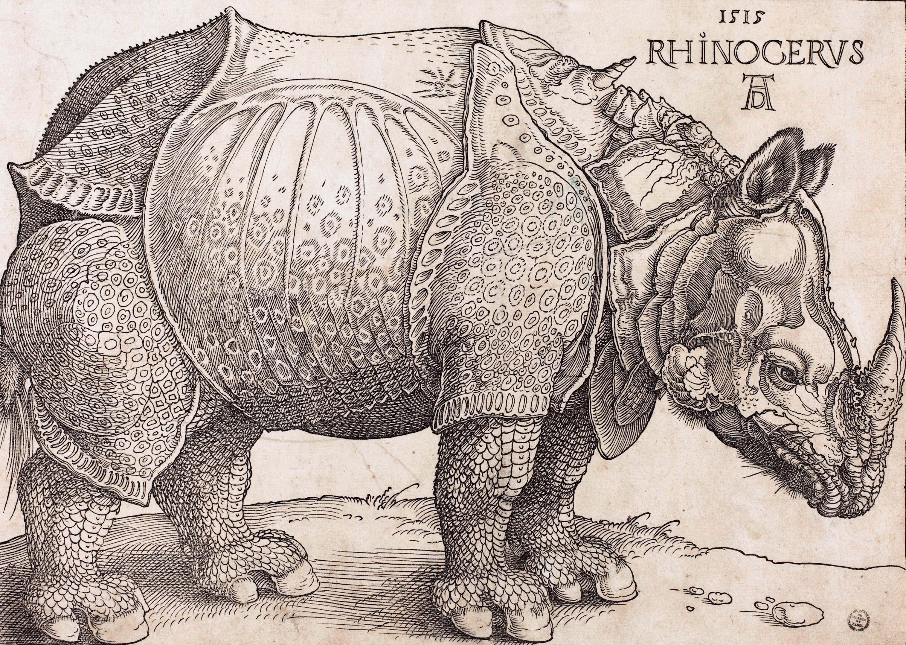 The Rhinoceros, Albrecht Dürer, 1515